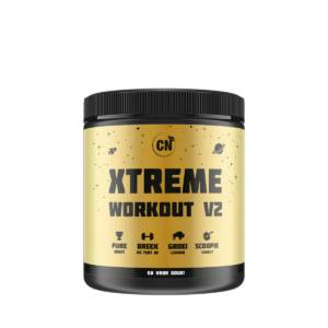 xtreme workout v2